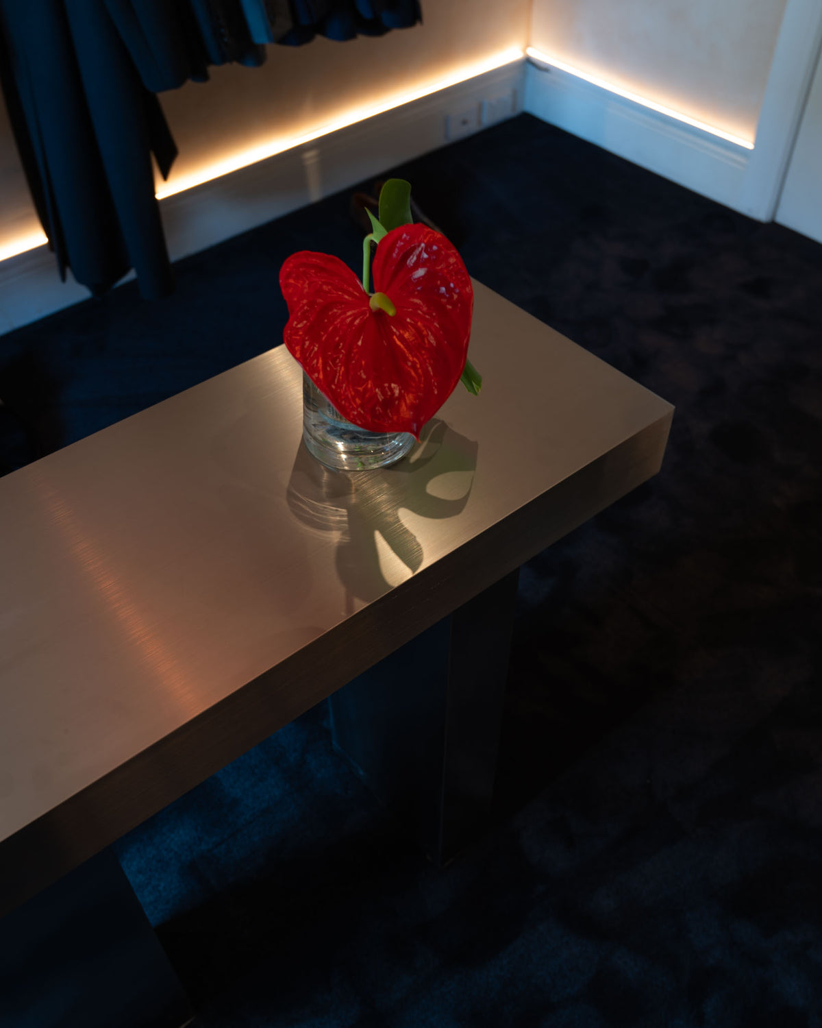 Stainless steel console table